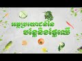 កម្មវិធី​ អត្ថប្រយោជន៍នៃ​បន្លែ​ និងផ្លែឈើ​​ ៖​ ផ្លែស្រកានាគចំពោះសុខភាព