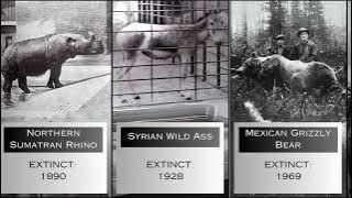 Last Photos of Extinct Animals!