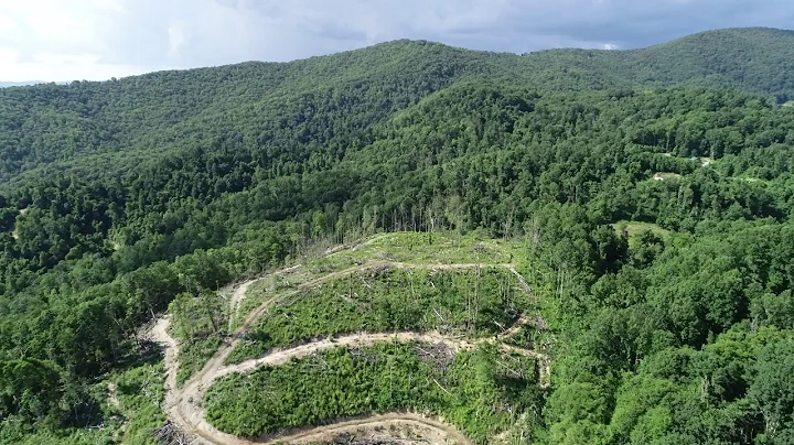 Rick Greene Property