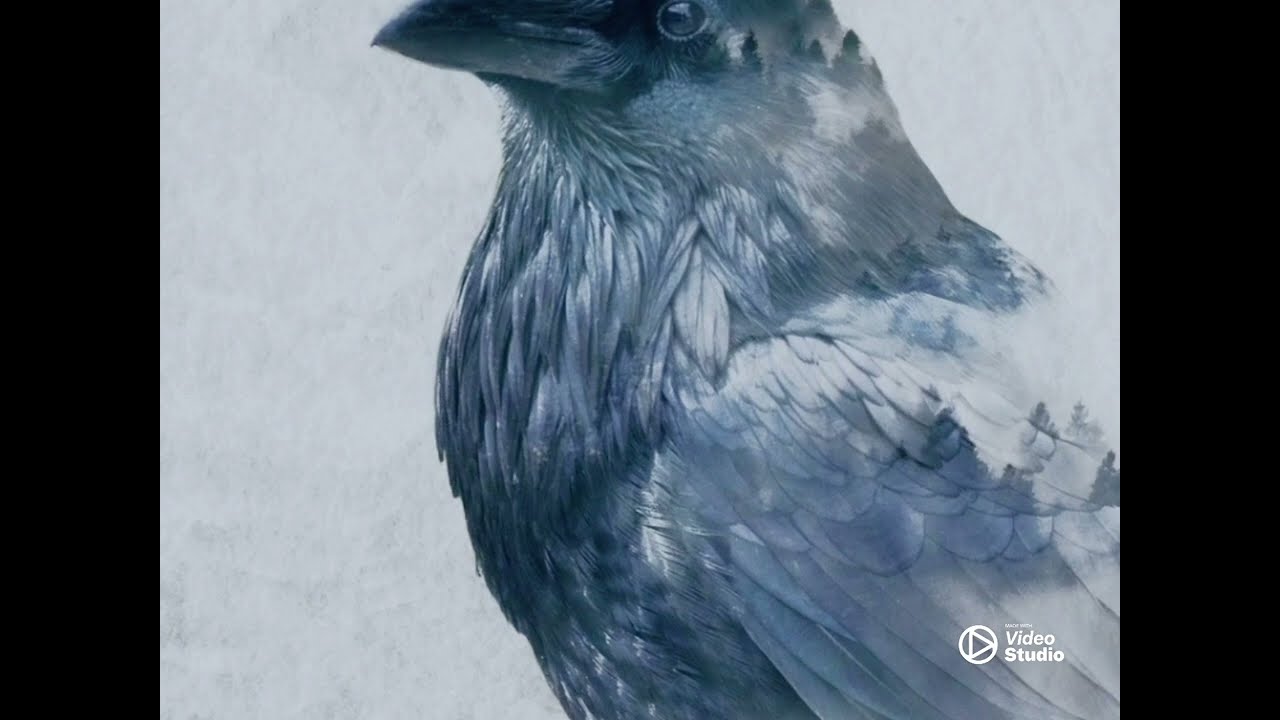 BRUCE BLUE BIRD (STUDIOLAB) KIDGAMMA 