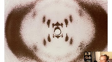 DNA: Structure and Replication (Chapter 7)