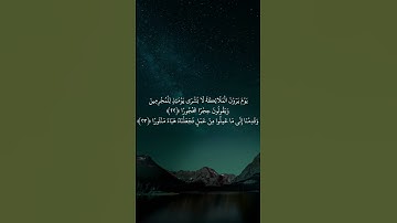آية 22 - 23 سورة الفرقان طور عراقي حزين
