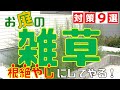 もう限界！庭の雑草を根絶やししてやる！これ見れば安心、雑草対策９選