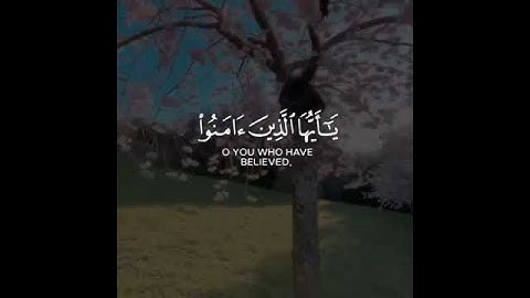 تلاوة عن يوم الجمعه|قران كريم| للقارئ هيثم الدخين