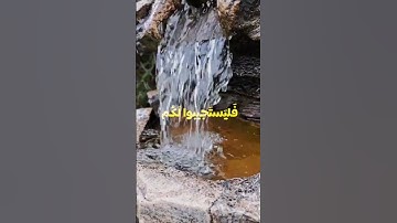 سورة الاعراف الاية 194