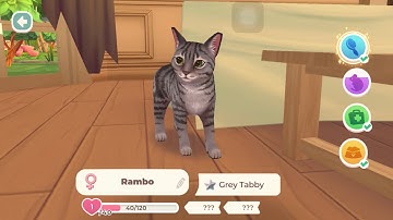 Cat Rescue Story gameplay All levels upgrading the house and adopting 4 cats walkthrough part 1