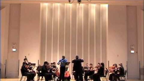Vivaldi Flute concerto in D major RV 783