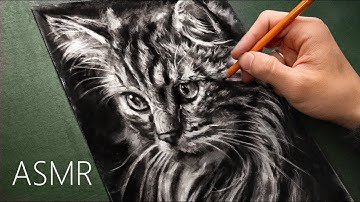 Relaxing ASMR Cat Drawing - Charcoal Pencils (No Talking)