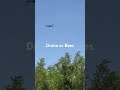 Drone vs bees