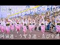 【阿波踊り2026】THE AWAODORI 2026 阿呆連・うずき連・ゑびす連 三名連が藍場浜を阿波おどり一色に染める! | Awaodori in Tokushima, Japan