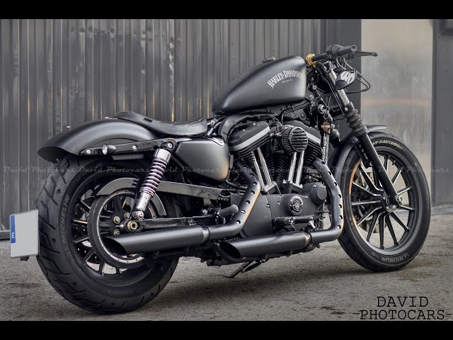 Iron Guerrilla: Rough Crafts' Harley-Davidson Sportster