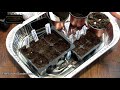 Small Scale Indoor Seed Starting - A Full Overview: Planting, Watering, Lights, Fertilizing & More