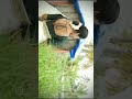 WHEN IT'S ONAM SEASON         #trending #reels #youtube #youtubeshorts #onam
