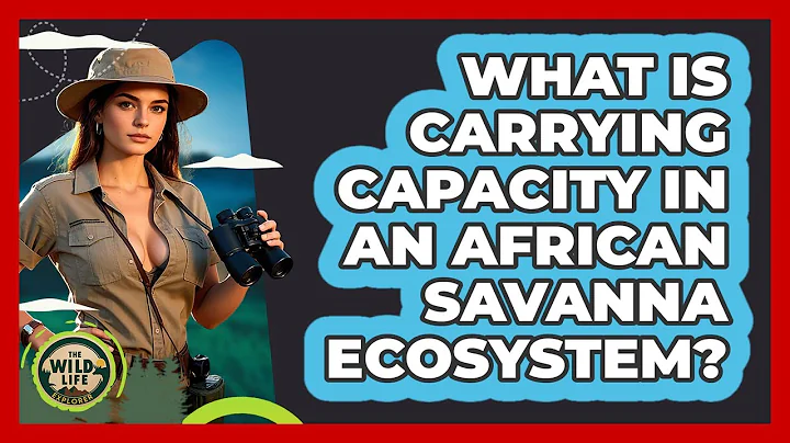 What Is Carrying Capacity In An African Savanna Ecosystem? - The Wild Life Explorer