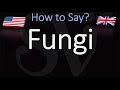 How to Pronounce Fungi?