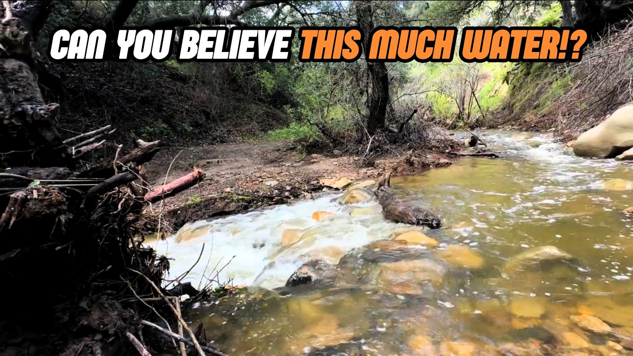 Rice Canyon Creek Hike — Santa Clarita, California After the Rain