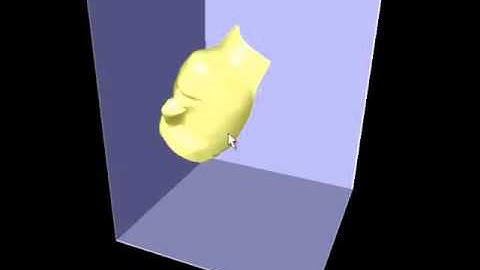 A Versatile and Robust Model for Geometrically Complex Deformable Solids (CGI 2004) [Face]