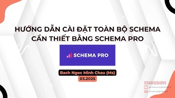 Hướng Dẫn Cài Đặt Toàn Bộ Schema Cần Thiết Cho Website Bằng Schema Pro | Chaubnm3