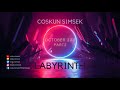 Coskun Simsek - LABYRINTH (October 2011) Part2 [Melodic Progressive, Deep Progressive House Mix]