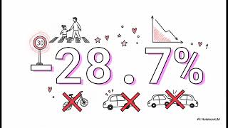 Commentary Japan Road Safety White Paper