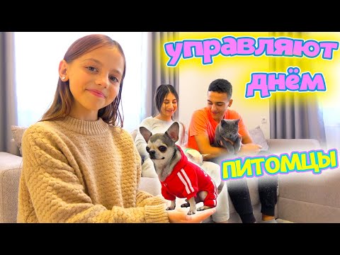 24 Часа Питомцы Управляют Нашим Днём My Little Nastya