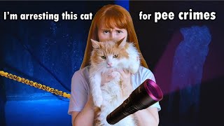 Download Lagu Uncovering our cat's crimes with a UV light MP3 Download Lagu Uncovering our cat's crimes with a UV light MP3