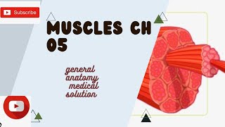 MUSCLES ch 05( GA) part 02  IN easiest way| first year mbbs