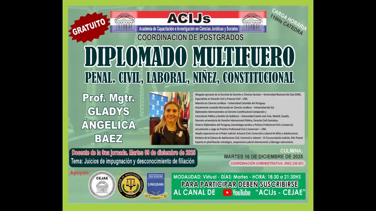 DIPLOMADO MULTIFUERO, PENAL. CIVIL, LABORAL, NIÑEZ, CONSTITUCIONAL 2025 JORNADA 9