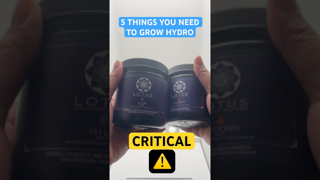Must haves when growing in Hydro 