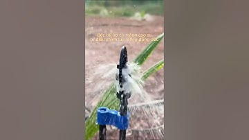 KHÁC NHAU GIỮA BÉC BÙ ÁP VÀ KHÔNG BÙ ÁP