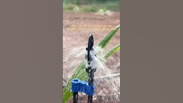 KHÁC NHAU GIỮA BÉC BÙ ÁP VÀ KHÔNG BÙ ÁP