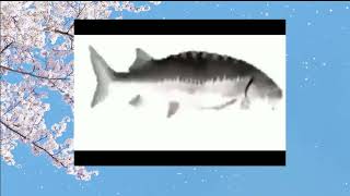 Fish Spin  / Приколы 2023 / Мемы / Meme  / Memes / Приколы