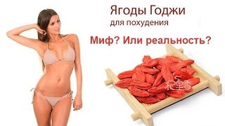 Ягода Годжи. Миф или реальность?