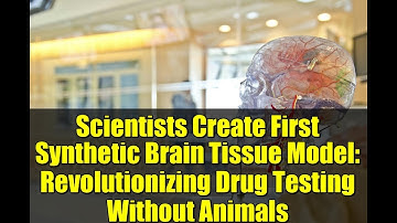 Scientists Create First Synthetic Brain Tissue Model: Revolutionizing Drug Testing Without Animals