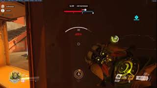 Orisa Bug