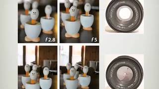 FE&D Photography 101-Video Sharing, smallest file.mov