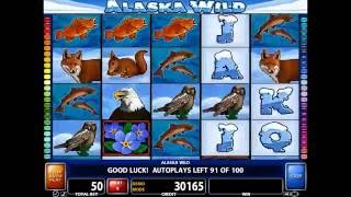 ALASKA WILD online free slot SLOTSCOCKTAIL casino technology