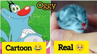 Oggy and the cockroaches in real life|| unbelievable 💥 #oggy