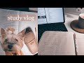 Много учебы! Программирование, экономика, химия…) || Study with me 14