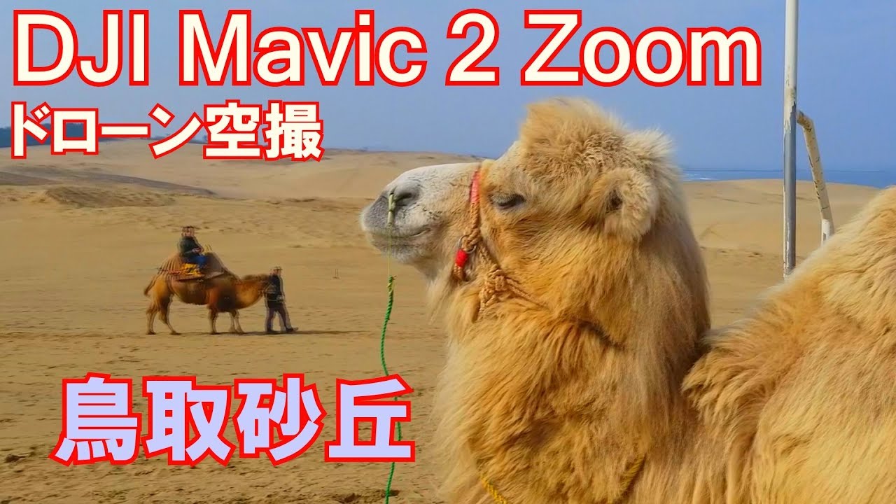 Views 絶景ドローン空撮 鳥取砂丘 3分9秒 音楽とのシンクロ感 いろいろな画角の空撮 360度方向からのショット等 ドローンの性能をフルに活かした撮影に心躍る Video Salon