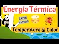 ENERGÍA TÉRMICA 🔥| TEMPERATURA y CALOR 🧪[Definición y Diferencias]