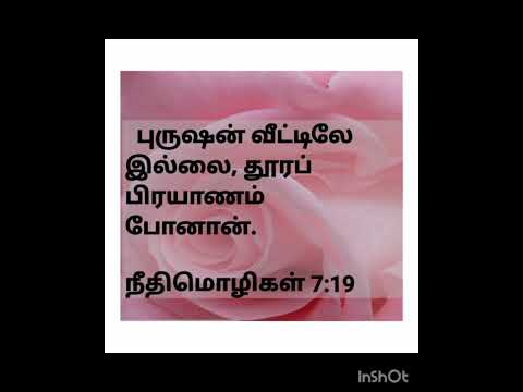 நீதிமொழிகள் - 7 : 11 - 20