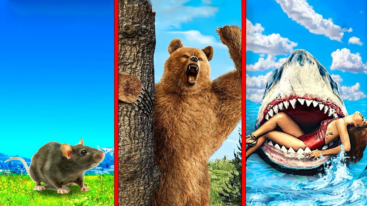 FRANKLIN Become CHEAPEST To MOST EXPENSIVE Animal In GTA 5 YouTube franklin-become-cheapest-to-most-expensive-animal-in-gta-5-youtube