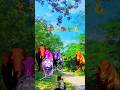 Big dinosaur chase T-rex chasingpart -983#shorts #dinosaur#youtube#dinosaurs #superman#dinner🐯🦣🦖