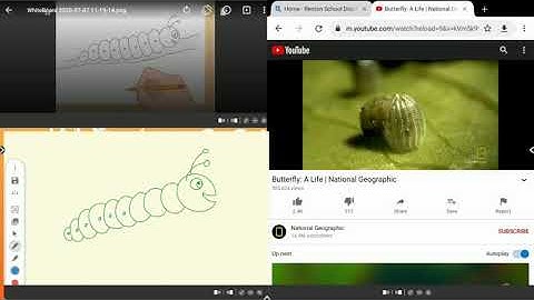 ActivPanel Titanium - Split Screen
