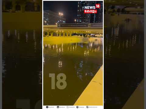 Dubai Flood :UAEയെ മുക്കി പെരുമഴക്കാലം | Dubai Floods | Dubai International Airport | N18S