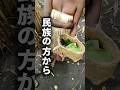 民族から飯をもらう#バヌアツ共和国 #海外