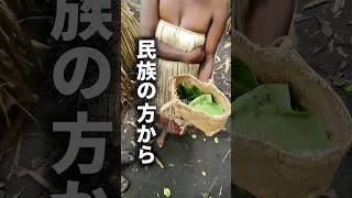 民族から飯をもらう#バヌアツ共和国 #海外