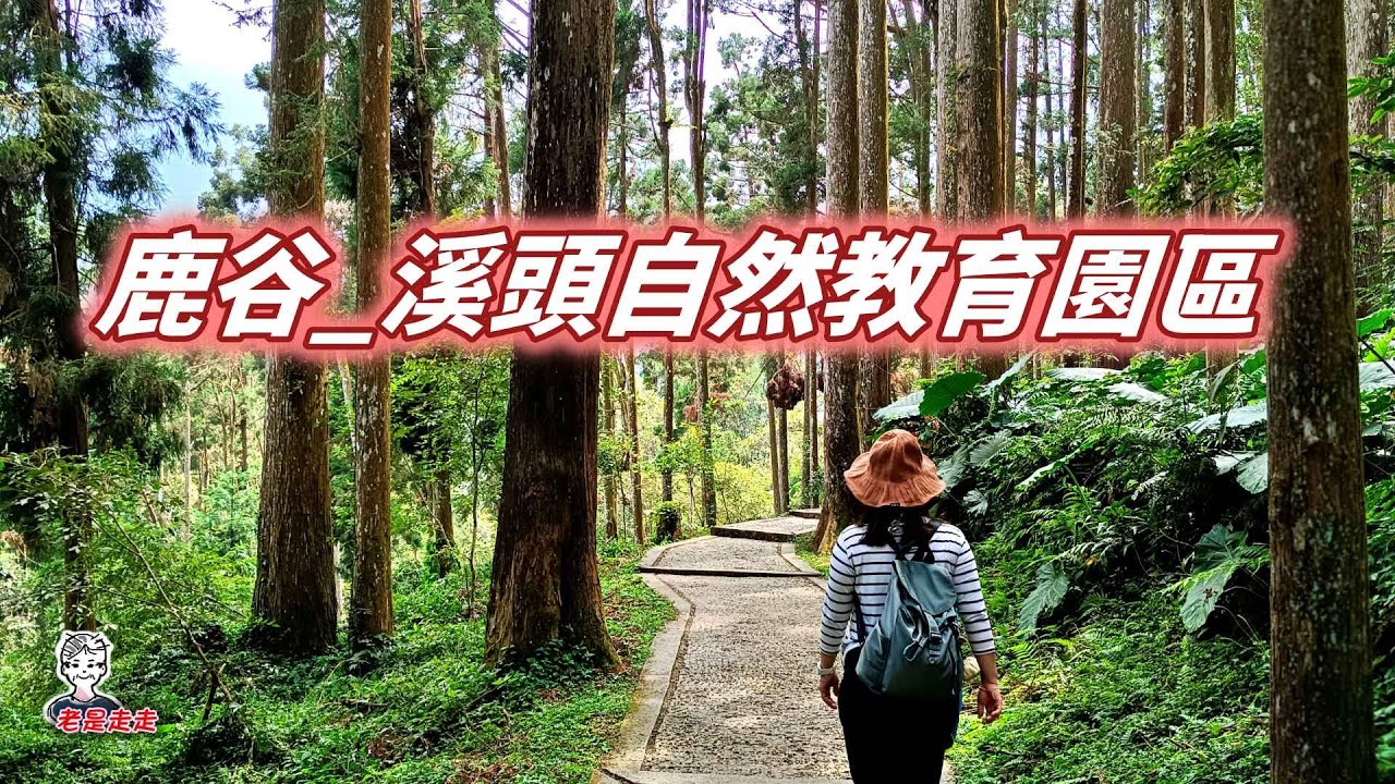 南投鹿谷_溪頭生態教育園區