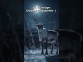 Magical Winter Christmas 🎄 Original Xmas Song 2026